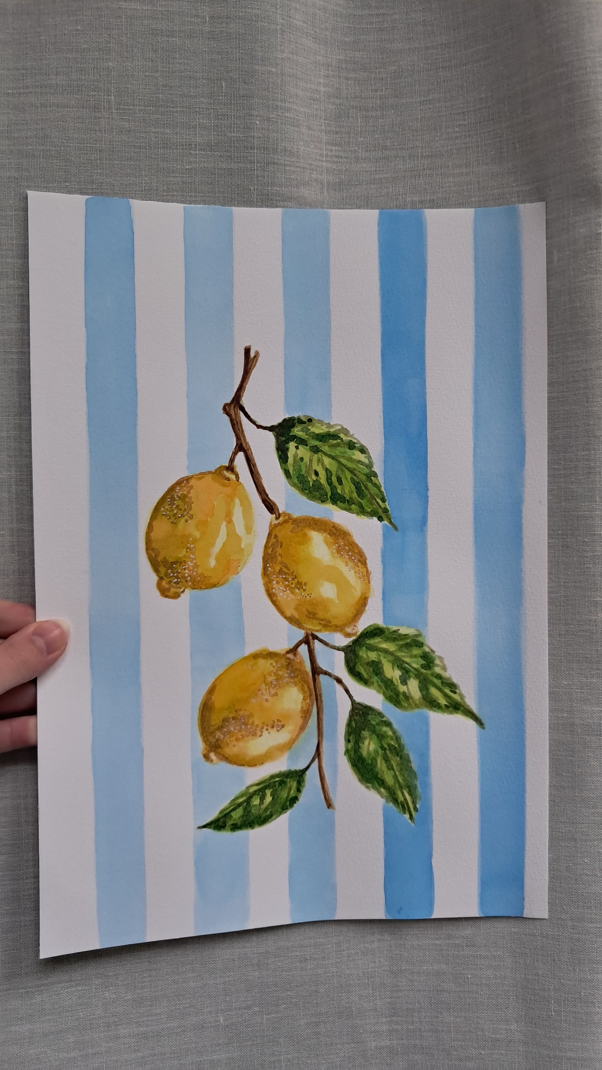 Limoni Mediterranei