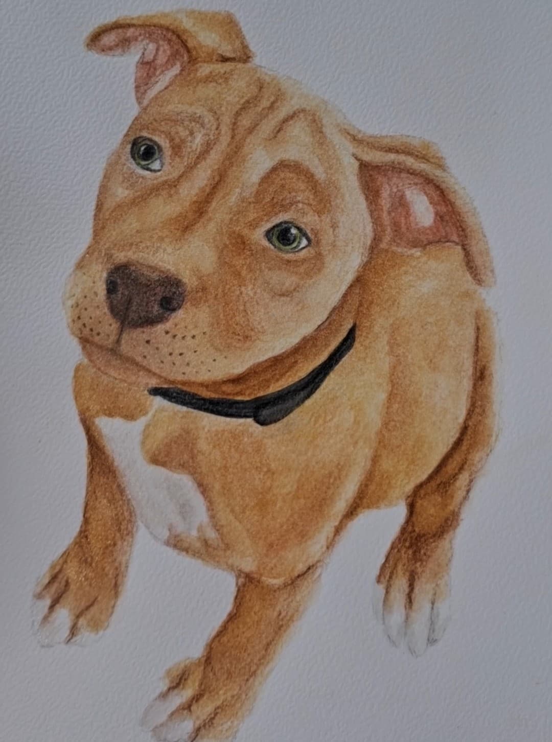 Ritratto di Buddy